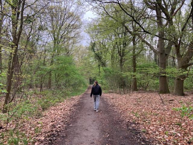Stacaravan Huren In Het Hart Van Bosrijk Drenthe Op Recreatiepark De Tien Heugten Schoonloo 外观 照片