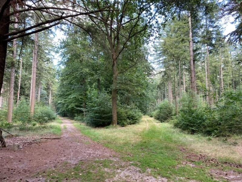 Stacaravan Huren In Het Hart Van Bosrijk Drenthe Op Recreatiepark De Tien Heugten Schoonloo 外观 照片